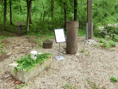 Friedwald Ebermannsstadt; Friedhofsverzeichnis by Schunder Bestattungen Bamberg